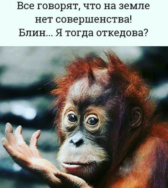 Все говорят что на земле нет совершенства Блин Я тогда откедова