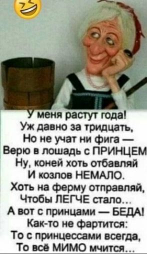 меня рдстут года Уж данж за тридцать Но не учат ии фига Борю панель ПРИНЦЕМ Ну коней коть атбашй И комо НЕМАЛО Хоть на Фер ду отправляй Чтобы ПЕГЧЕ стало А вот с приицвми БЕДА Как то не Фартится То принцессами всегда То все мимо титан
