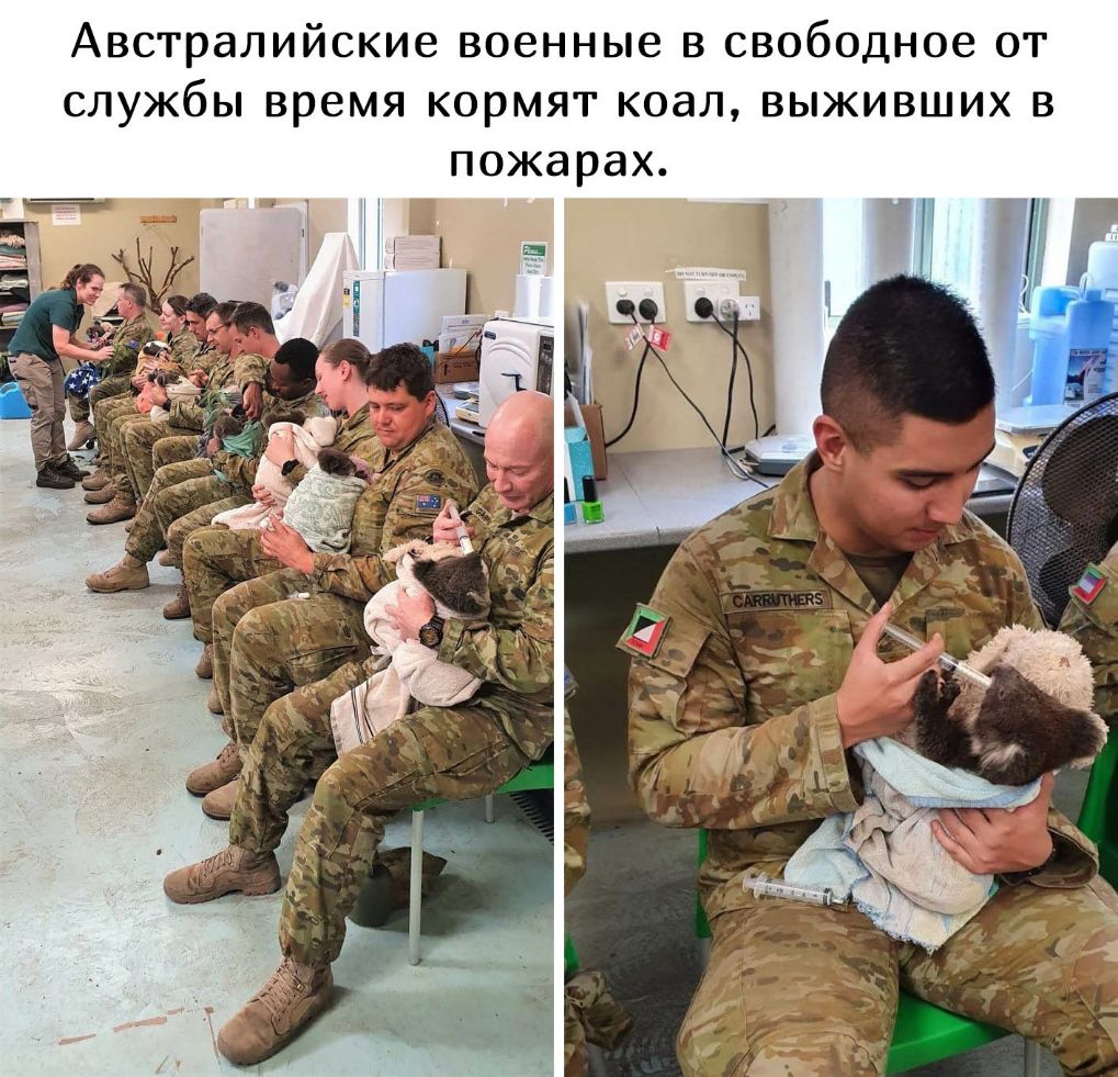 АВСГраЛИЙСКИВ ВОЕННЫЕ В свободное ОТ СЛУЖбЫ время К0рМЯТ К0дЛ ВЫЖИВШИХ В пожарах