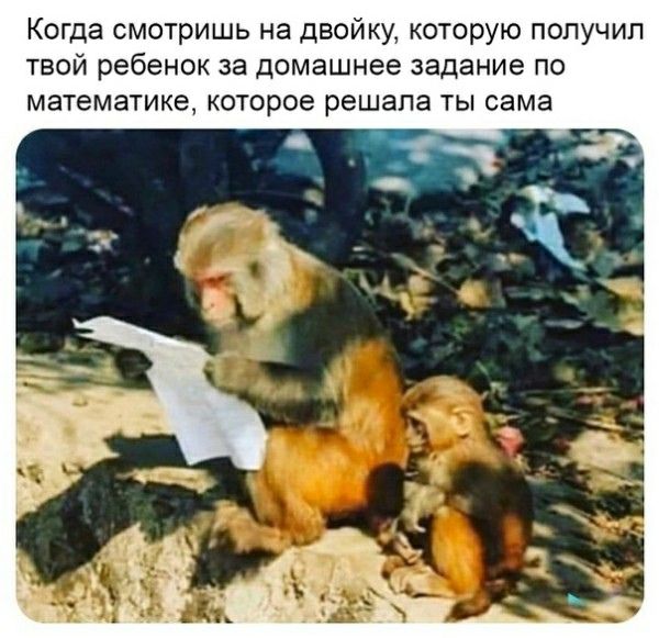 Когда смотришь на двойку которую получил твой ребенок за домашнее задание по математике которое решала ты сама