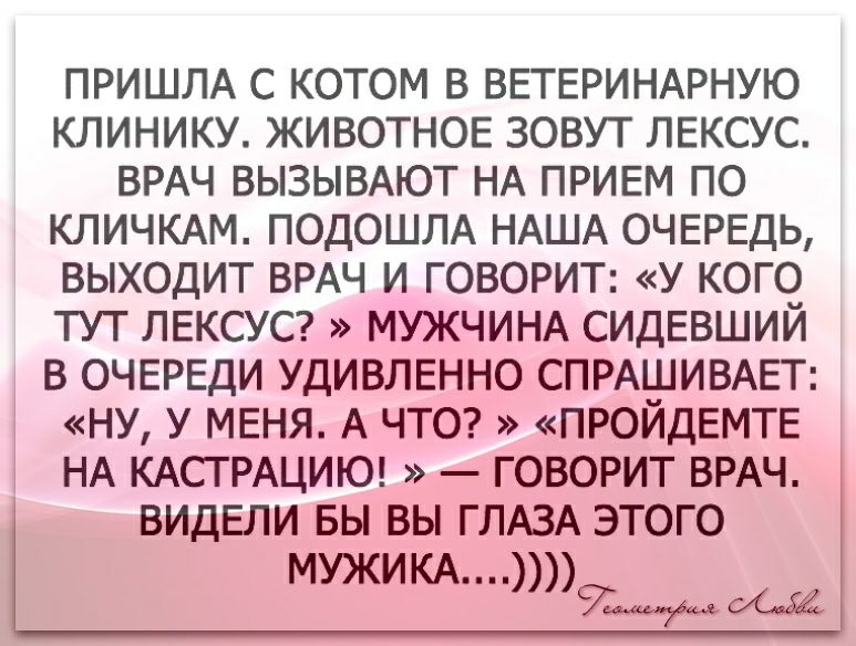 ПРИШЛА С КОТОМ В ВЕТЕРИНАРНУЮ КЛИНИКУ ЖИВОТНОЕ ЗОВУТ ЛЕКСУС ВРАЧ ВЫ3ЬВАЮТ НА ПРИЕМ ПО КЛИЧКАМ ПОДОШЛА НАША ОЧЕРЕДЬ ВЫХОДИТ ВРАЧ И ГОВОРИТ У КОГО ТУТ ЛЕКСУС МУЖЧИНА СИДЕВШИЙ В ОЧЕРЕДИ УДИВЛЕННО СПРАШИВАЕТ НУ У МЕНЯ А ЧТО ПРОИДЕМТЕ НА КАСТРАЦИЮ ГОВОРИТ ВРАЧ ВИДЕЛИ БЫ ВЫ ГЛАЗА ЭТОГО мужикд9_