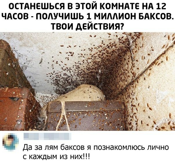 ОСТАНЕШЬСЯ В ЭТОЙ КОМНАТЕ НА 12 ЧАСОВ ПОЛУЧИШЬ 1 МИААИОН БАКСОВ ТВОИ АЕИСТВИЯ7 Да за пям баксов я познакомлюсь лично с каждым из них