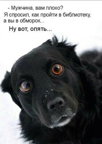 Мужчина вам ппохо Я спросил как пройти в библиотеку а вы в обморок Ну вот опят