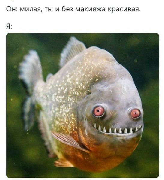 ТЫ И без МЁКИЯЖЗ красивая