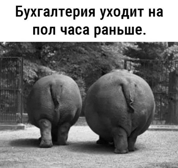 Бухгалтерия уходит на пол часа раньше