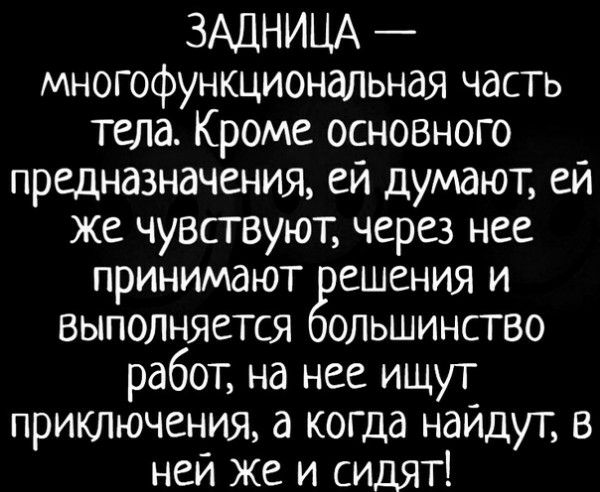 ЗАДНИЦА многофункциональная часть тела Кроме основного предназначения еи думают еи же чувствуют через нее принимают ешения и выполняется ольшинство работ на нее ищут приключения а когда наидут в ней же и сидят