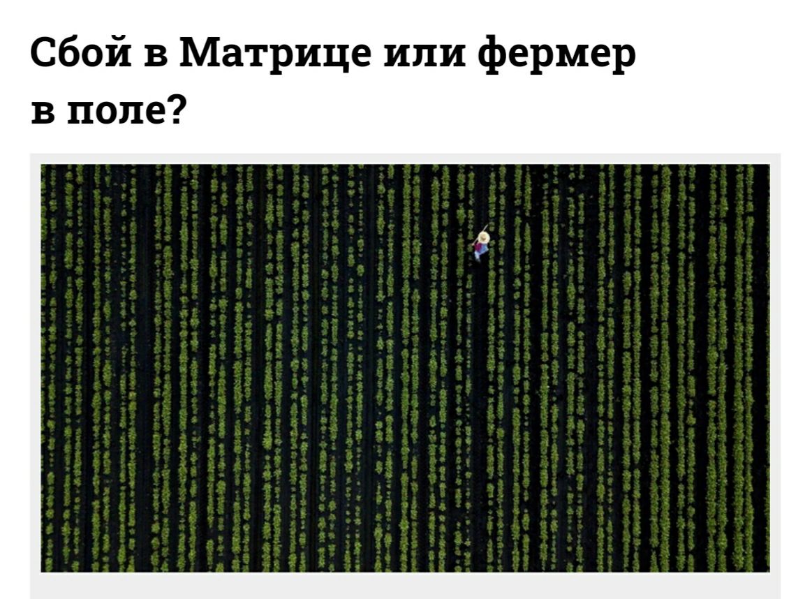 Сбой в Матрице или фермер в попе