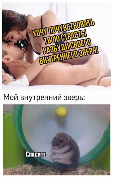 Еплсит