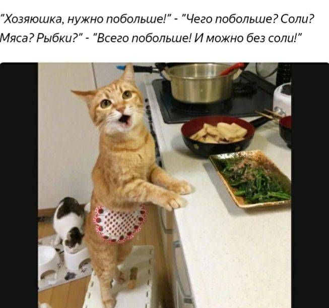 Хозяюшка нужно побольше Чего побольше Соли Мяса Рыбки Всего побольше И можно без соли