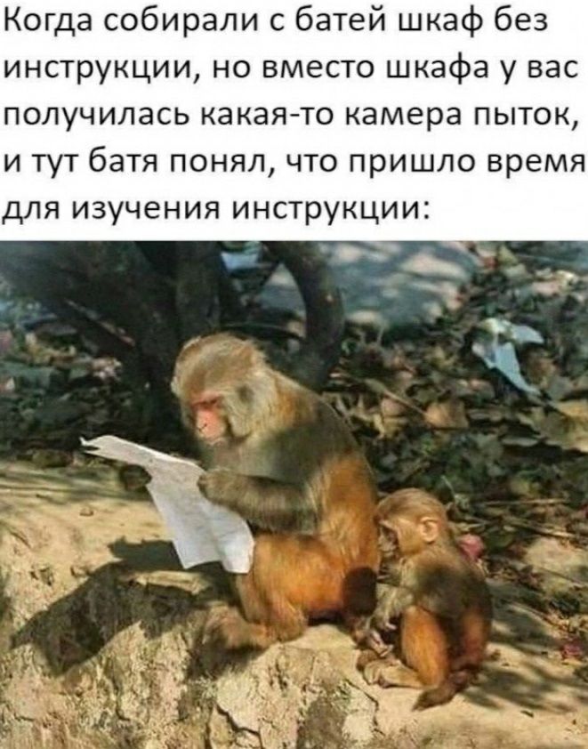 Когда собирали с батей шкаф без инструкции но вместо шкафа у вас получилась какая то камера пыток и тут батя понял что пришло время для изучения инструкции