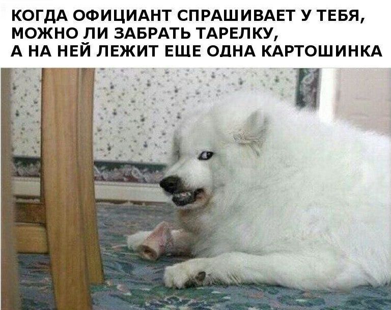 КОГДА ОФИЦИАНТ СПРАШИВАЕТ У ТЕБЯ МОЖНО11И ЗАБРАТЬ ТАРЕЛКУ А НА НЕИ ЛЕЖИТ ЕЩЕ ОДНА КАРТОШИНКА Ё