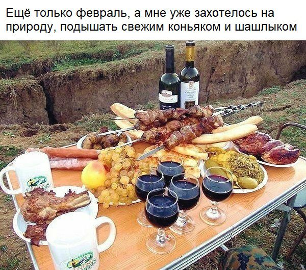 Ещё только февраль а мне уже захотелось на природу подышать свежим коньяком и шашлыком