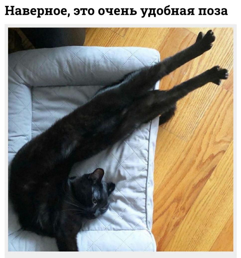 Наверное ЭТО очень удобная поза