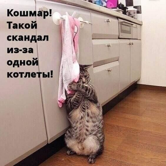 Кошмар Такой скандрл