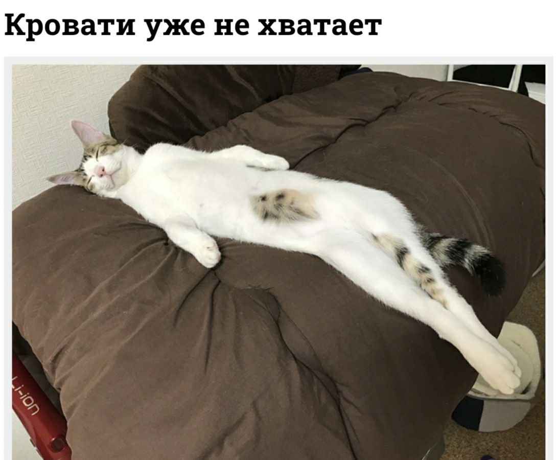Кровати уже не хватает
