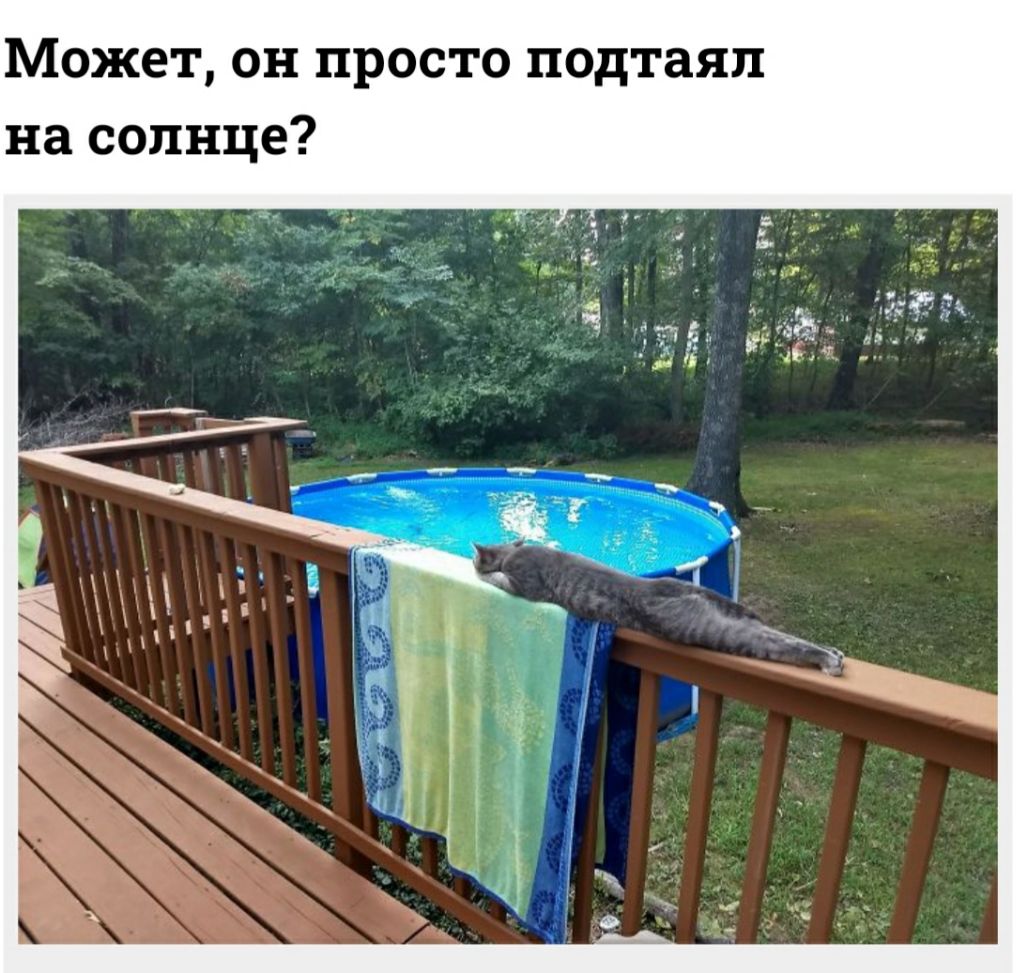 Может он просто подтаяп на солнце