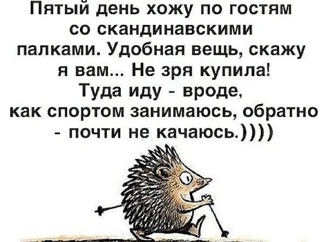Пятый день хожу по гостям со скандинавскими палками Удобная вещь скажу я вам Не зря купила Туда иду вроде как спортом занимаюсь обратно почти не качаюсь