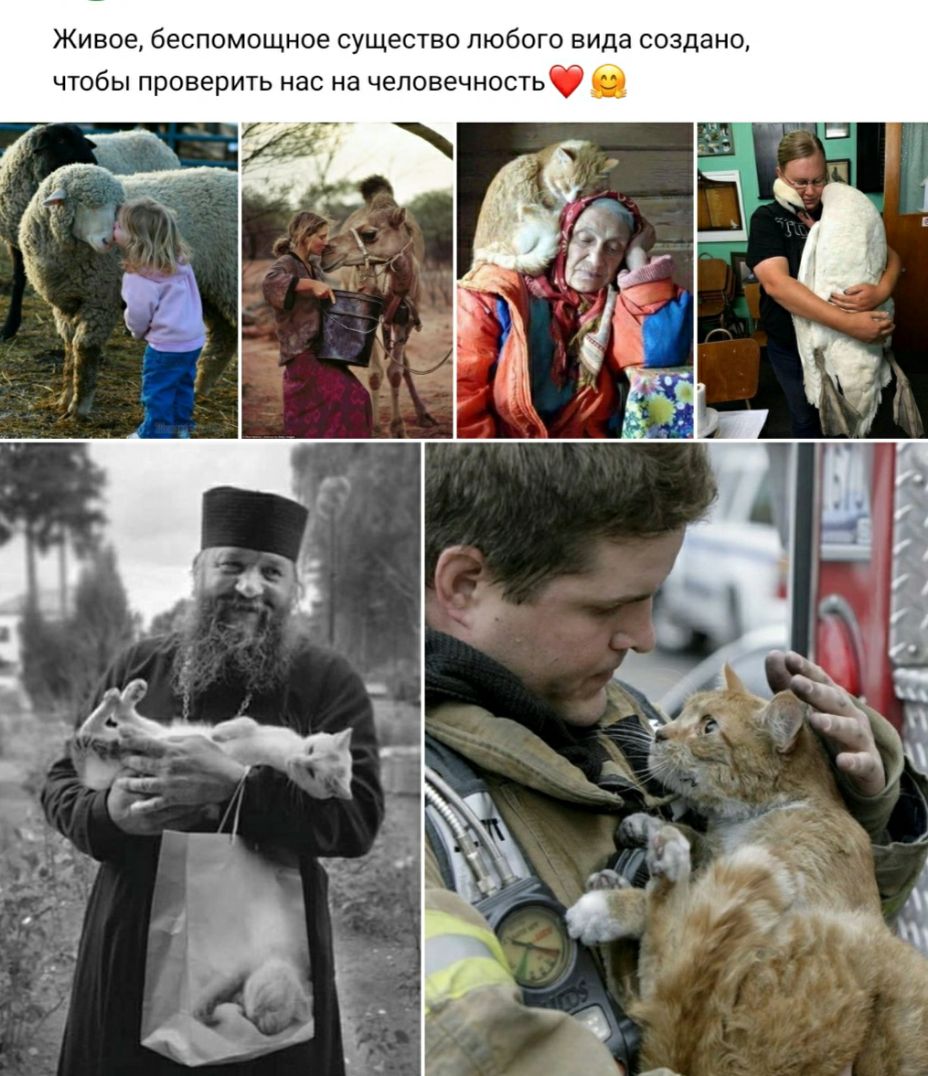 Живое беспомощное существо любого вида создано чтобы проверить нас на чеповечностьф в
