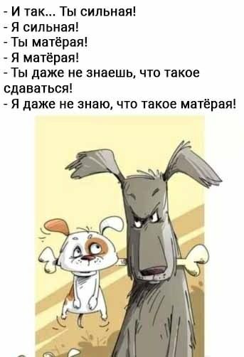 И так Ты сильная Я сильная Ты мвТЕрая Я мнтёрвя Ты даже не знаешь что такое сдаваться Я даже не знаю что такое мвтёрая