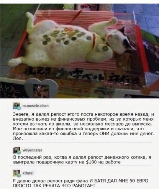 Знаете я делал регюс зюго попа некоторое время назад и внезапно вылез из Финансовых проблем из за которых Меня хотели выгнать из школы за несколько месяцев до выпуска Мне позвонили из Финансовой поддержки и сказали произошла какаяю ошибка и теперь они допжны нне денег Пил в последний раз когда я делал рппоп денежного котика я выиграла подарочную карту на 100 на работе ц я дзена депзл репап ради Фа