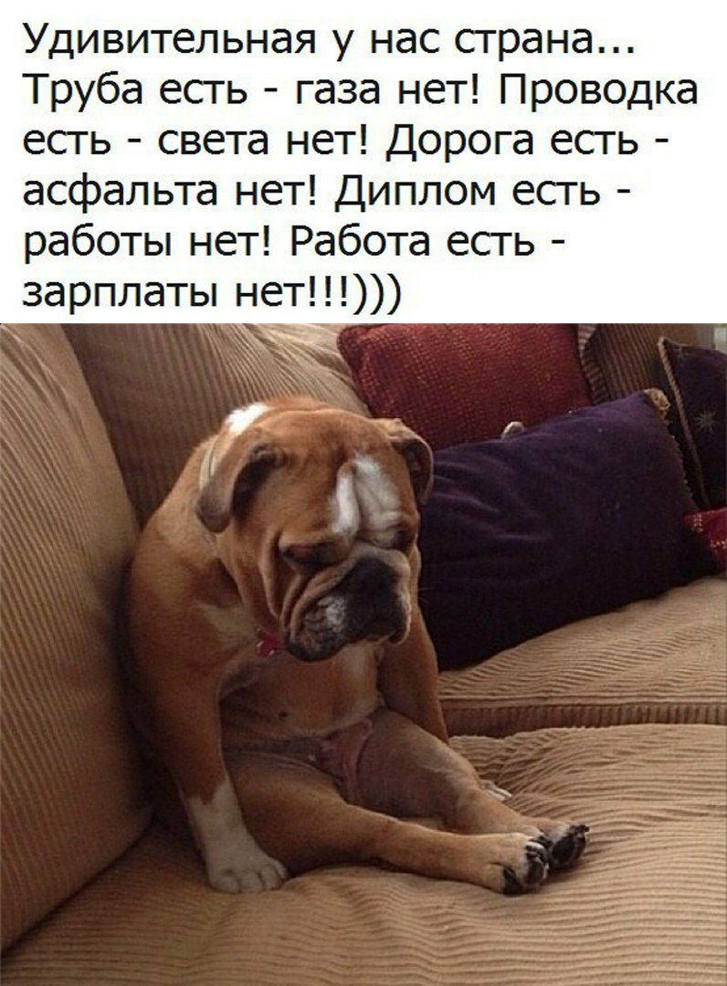 Удивительная у нас сграна Труба есть газа нет Проводка есть света нет Дорога есгь асфальта нет Диплом есть работы нет Работа есть зарплаты нет