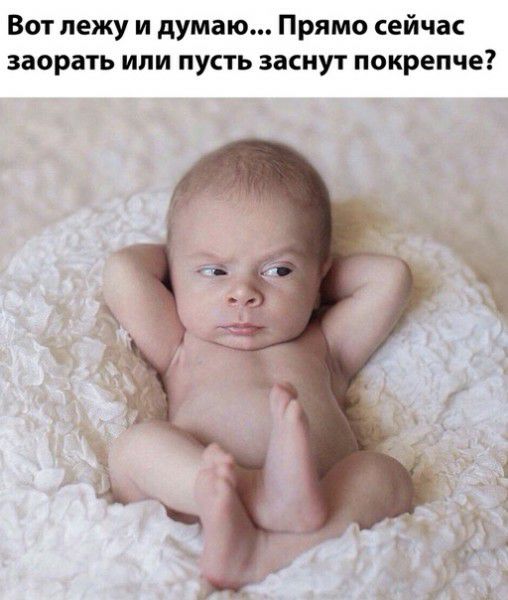 Вот лежу и думаю Прямо сейчас заорать или пусть заснут покрепче