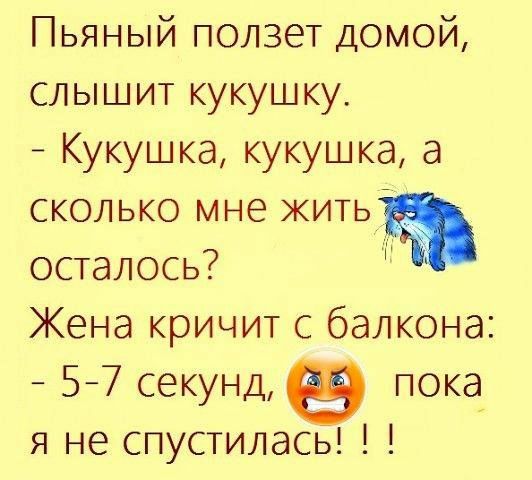 Пьяный ползет ДОМОЙ слышит кукушку Кукушка кукушка а сколько мне житьэ осталось Жена кричит с балкона 57 секунд пока Я не спустилась