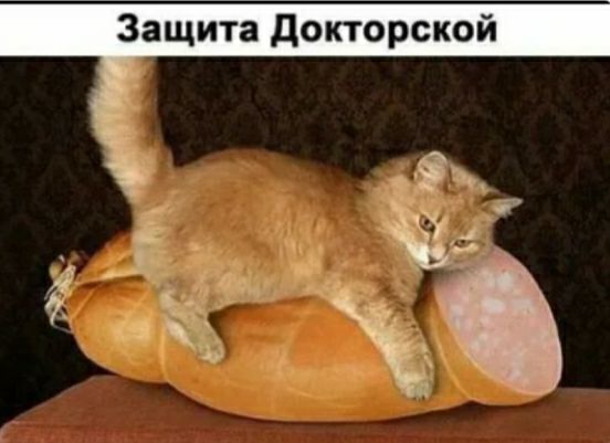 Защита докторской