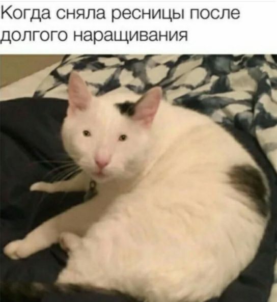 Когда сняла ресницы после долгого наращивания