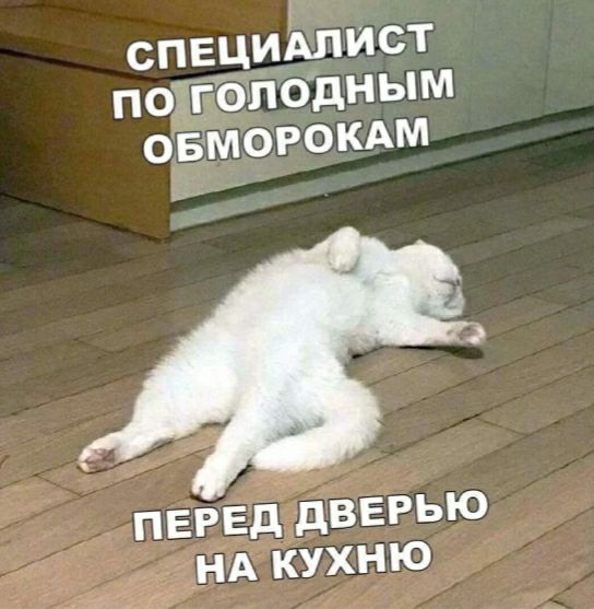 спвуидпист поэгоподным овморомм