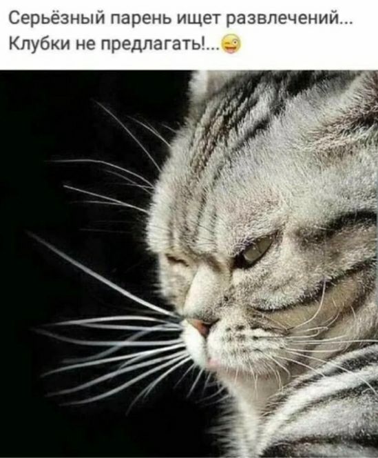 СЭОЬЭЗНЫИ парень ИЩЕТ развлечении Кпубки не предлагать