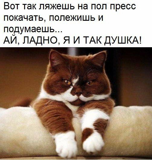 ВОТ так ЛЯЖЭШЬ на ПОЛ ПРЕСС ПОКЗЧЗТЬ ПОЛЭЖИШЬ И подумаешь АИ ЛАДНО Я И ТАК ДУШКА