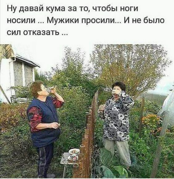 Ну давай кума за то чтобы ноги носили Мужики просили И не было сил отказать
