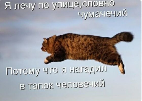по улиц глоь но 1л_г 151ий Г Югом что нагадип 3 тапок инноваций