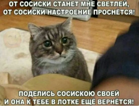 ОТ СОСИСКИ СТАНЕТіМНЕ СВЕТПЕЙ ОТ СОСИСКИНАСПЦОЕННЕ ПРОСНЁТСЯ 4 _ поделись сосискою своей и атак ТЕБЕ в лотке ЕЩЁ ввгнётст
