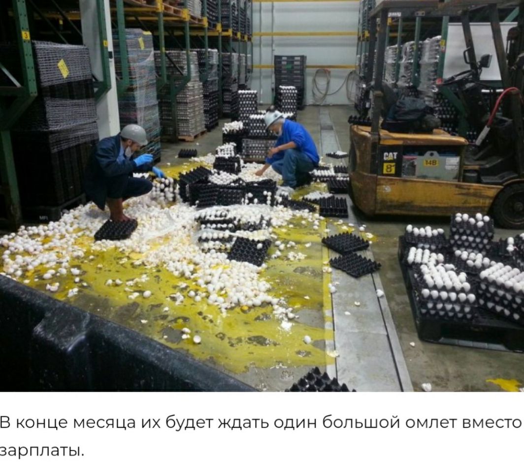 В КОНЦЭ месяца ИХ будет ЖДаТЬ ОДИН бОПЬШОЙ омлет вместо нарппаты