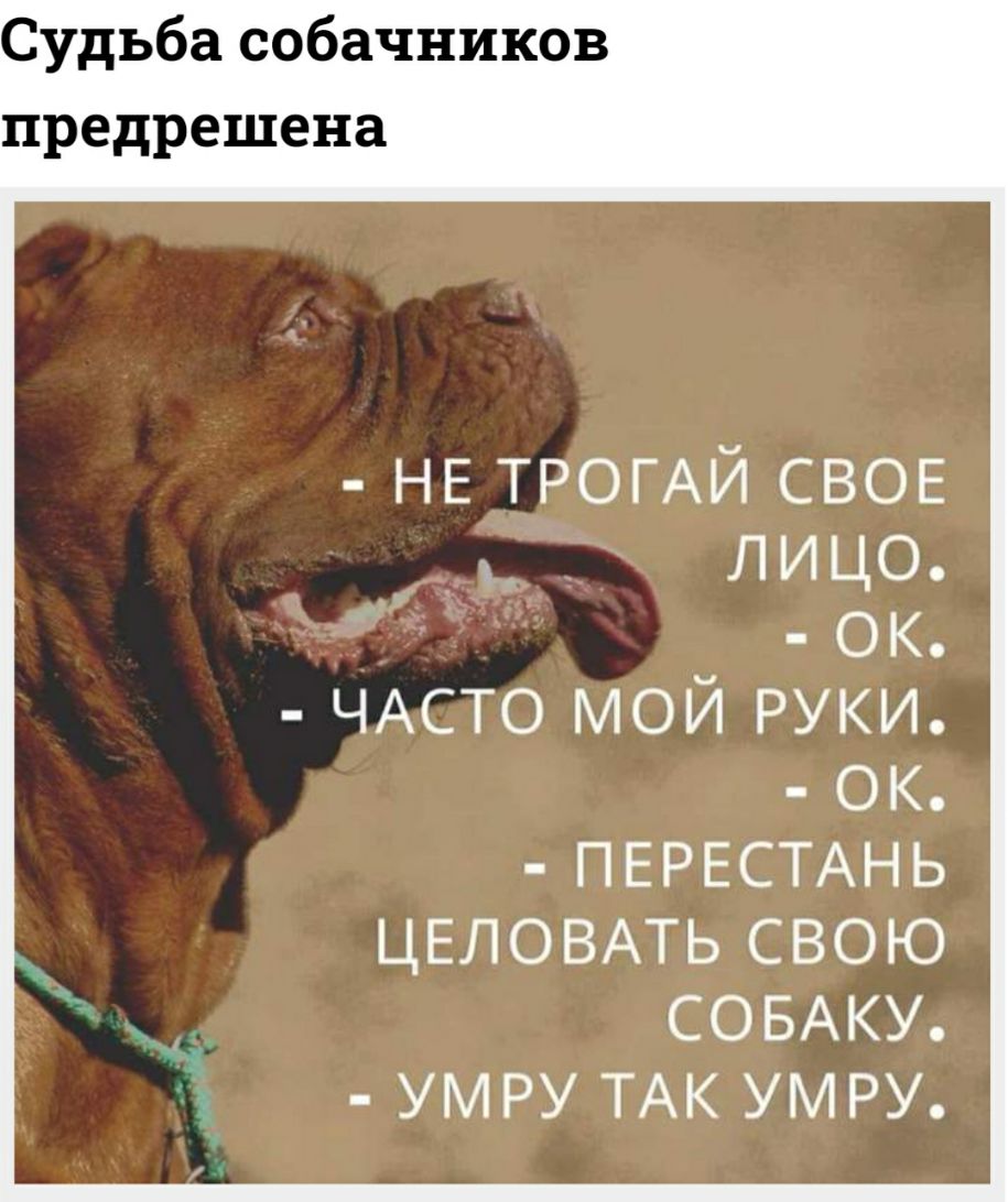 Судьба собачников предрешена НЕ ТРОГАЙ СВОЕ _А лицо ОК ЧАСТО МОЙ РУКИ ОК ПЕРЕСТАНЬ ЦЕЛОВАТЬ СВОЮ СОБАКУ УМ РУ ТАК УМ РУ