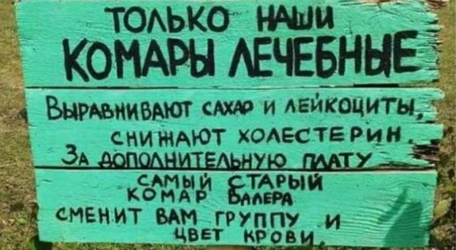 _ Т0АЬК0 МПИ КОМАРЫ АЕЧЕБННЕ ВЫРАЫИВАЮТ и Агикоциты _снижмот ход старцы _ 3 735 ксдмыд ТАРЫИ до ч сменит Ы ГРУ __ ЦВЕТ Бу эИт ___