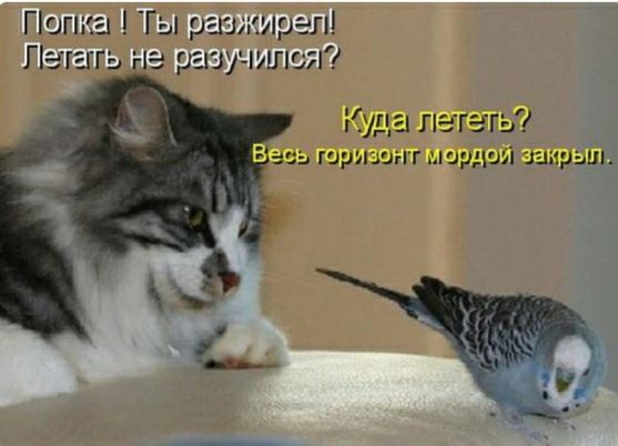 Гы райжйрет Г игр г разучэшся Жиёча Ъд анггшж затрат