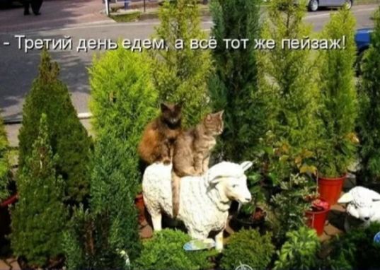 __ 3 в М ХВ тот же пейзаж