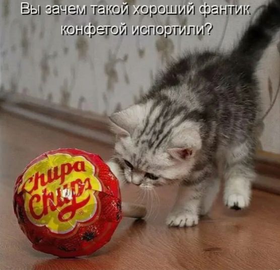 і Вы зёчэм такойюроший фагіпик конфетти исгюргйшг и