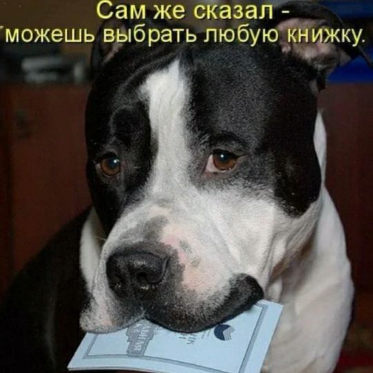 Сам же сЁазалд можешь выбрать любуюкН4жку