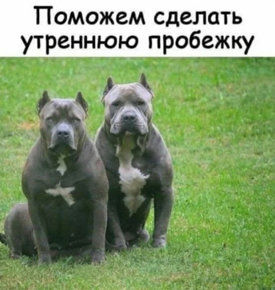 Поможем сделать утреннюю пробежку э ЁМ _ _а