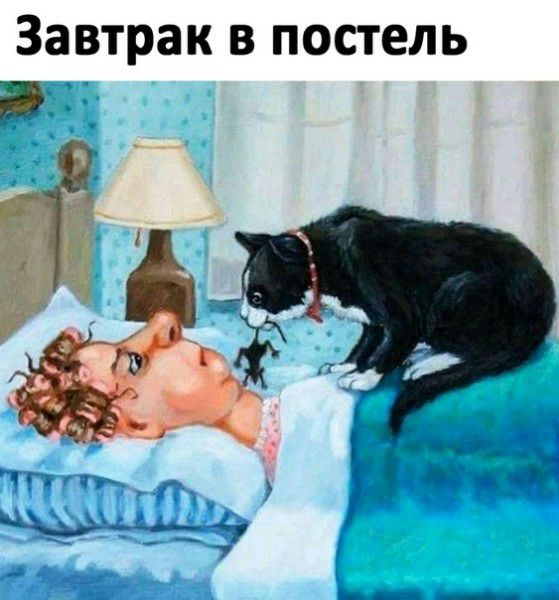 завтрак В ПОСТЕЛЬ