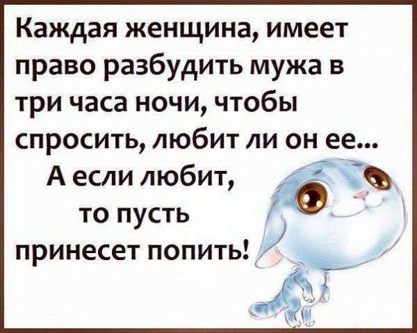Каждая женщина имеет право разбудить мужа в три часа ночи чтобы спросить любит ли он ее А если любит то пусть принесет попить