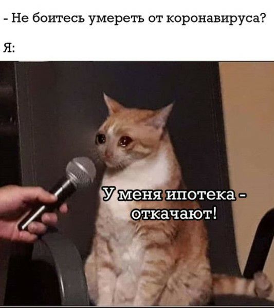 Не боитесь умереть от коронавируса Я