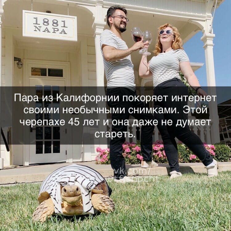 Пара из Калифорнии покоряет интернет своими необычными снимками Этой черепахе 45 лет и она даже не думает стареть