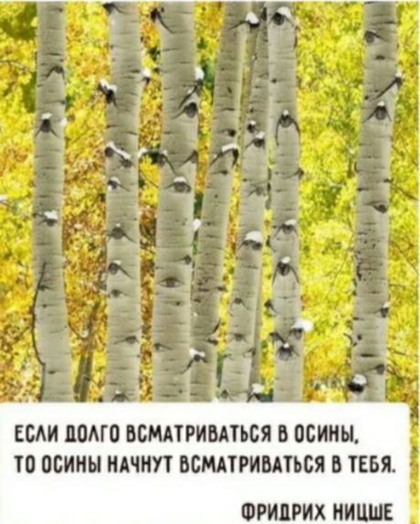 ЕБАИ ММП ББЩТРИМТЬСЯ В ПСИИЫ Ш ОСИНЫ МИНУТ БСМПРИБАТЬВЯ Б ТЕБЯ ФРИДРИХ НИЦШЕ