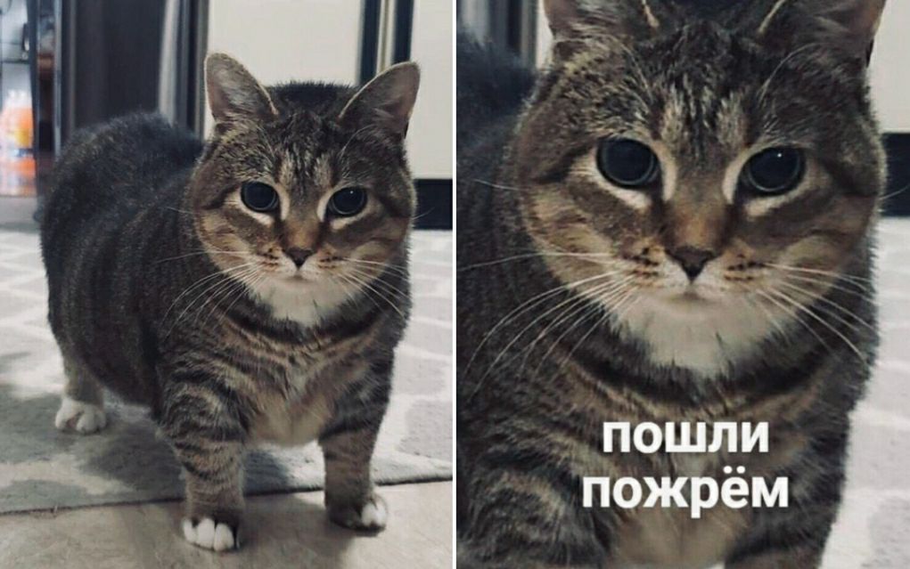 пОщли пожрём