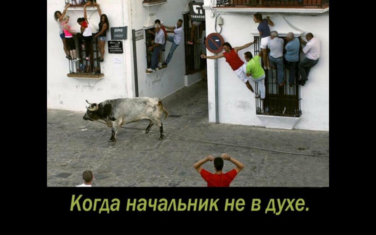 _ _ Магда начальник не в духе